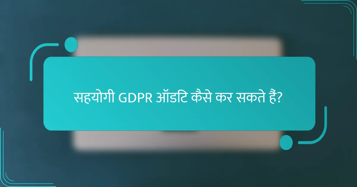 सहयोगी GDPR ऑडिट कैसे कर सकते हैं?